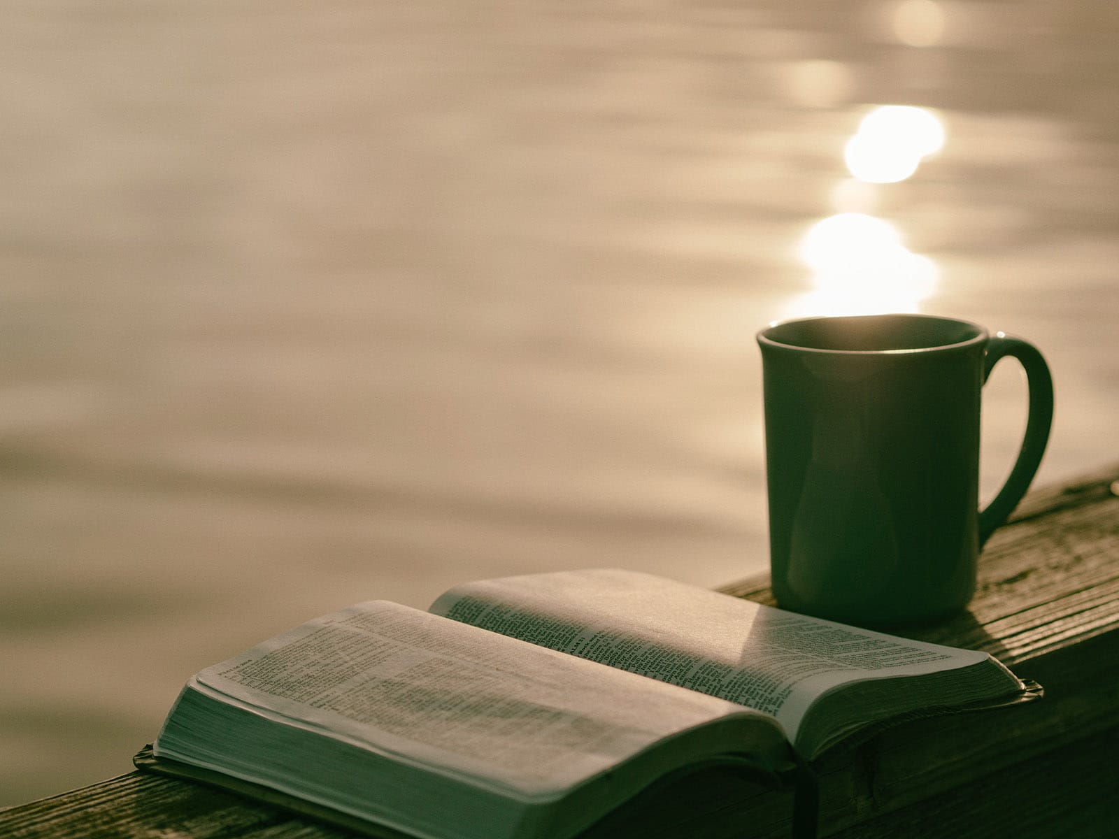 Blog Litteraire Lecture